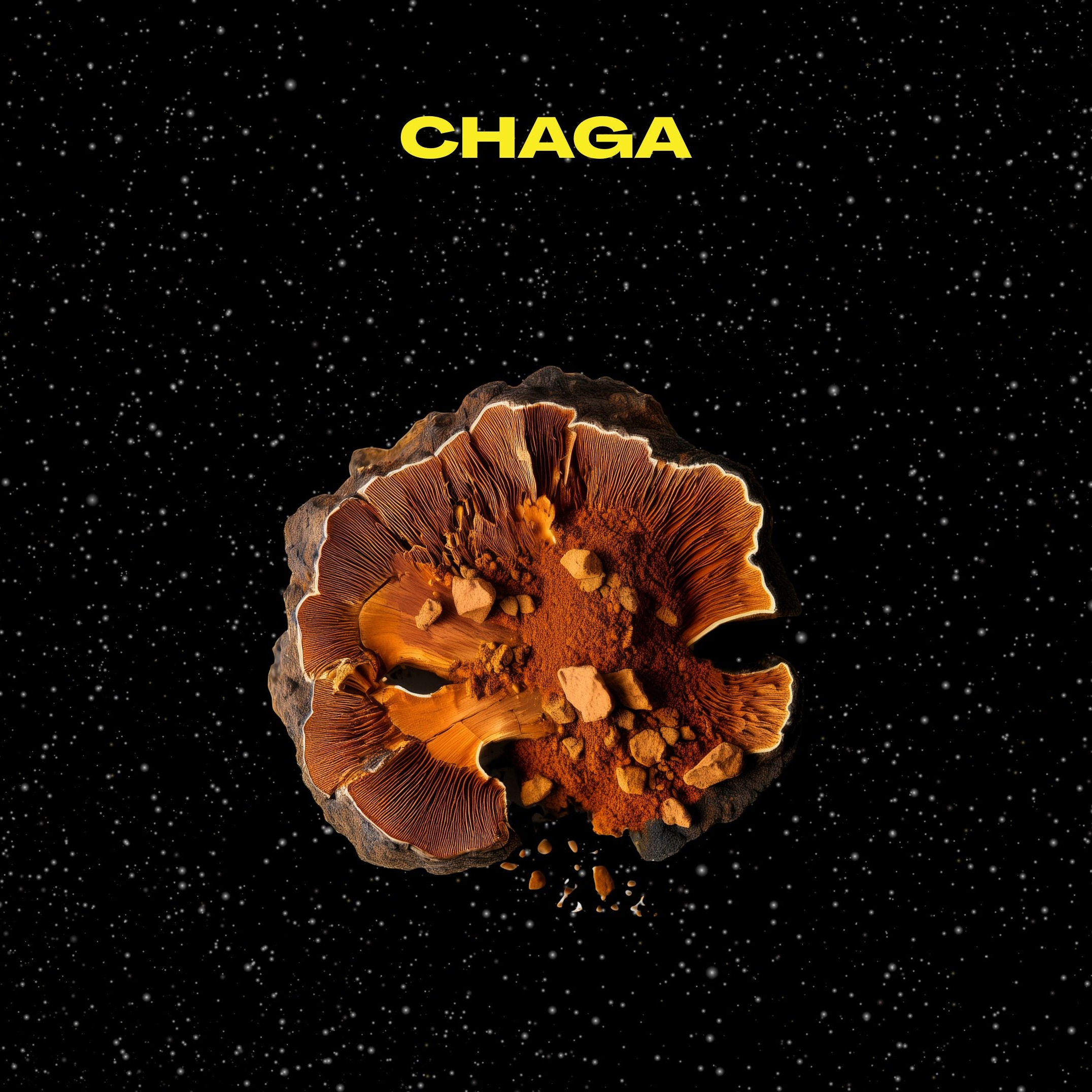 Chaga mushroom on a black background with text about antioxidants.