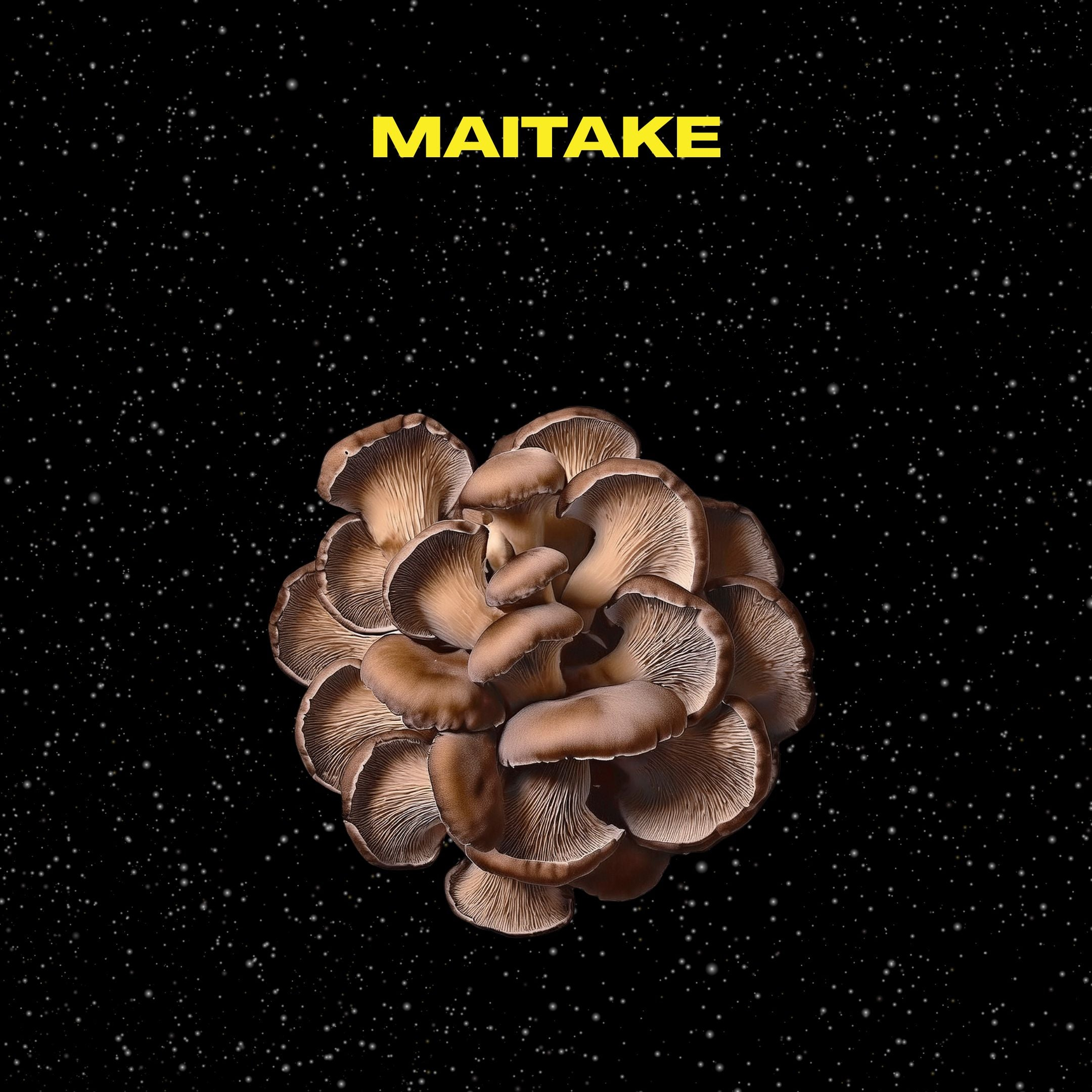 Maitake mushrooms on a black background with text about metabolic benefits.