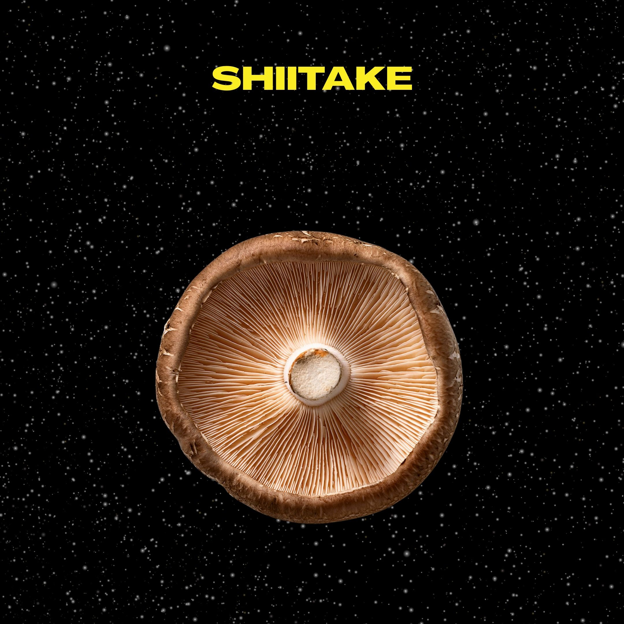 Shiitake mushroom on a black background with text about gut-friendly goodness and overall wellness.